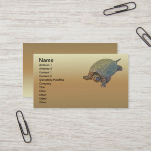 Common Snapping Turtle - Chelydra serpentina Business Card