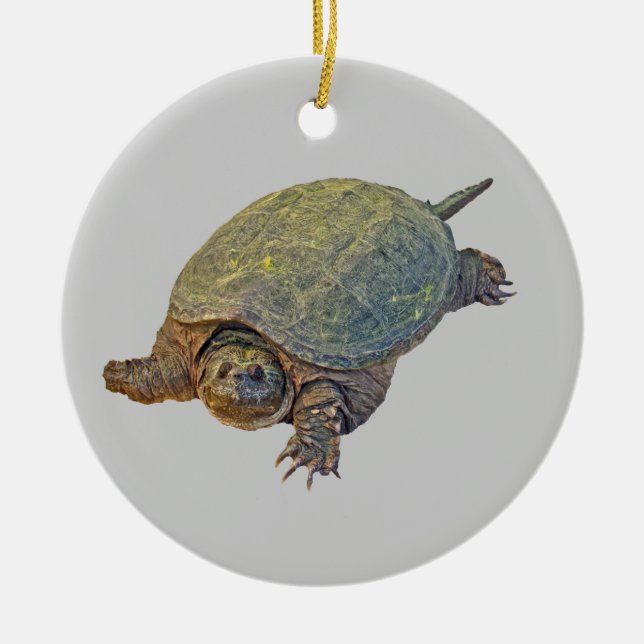 Common Snapping Turtle - Chelydra serpentina Ceramic Ornament (Front)