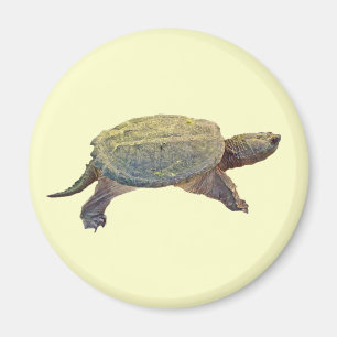 Common Snapping Turtle - Chelydra serpentina Magnet