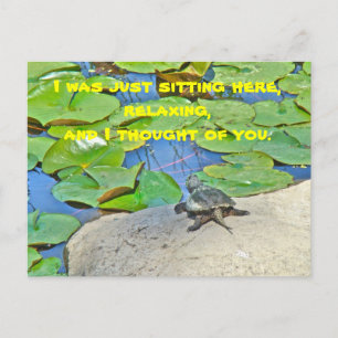 Common Snapping Turtle - Chelydra serpentina Postcard