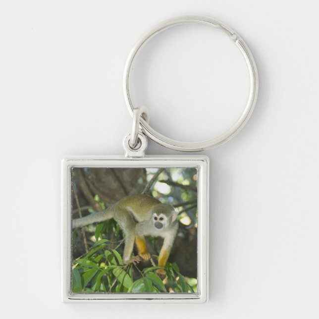 Common Squirrel Monkey, (Saimiri sciureus), Rio Keychain (Front)