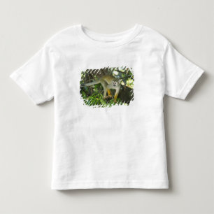 Common Squirrel Monkey, (Saimiri sciureus), Rio Toddler T-shirt