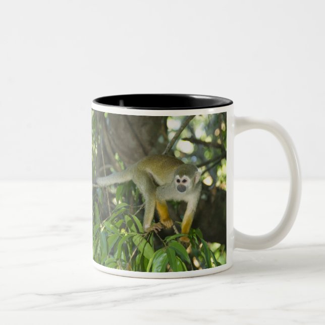 Common Squirrel Monkey, (Saimiri sciureus), Rio Two-Tone Coffee Mug (Right)