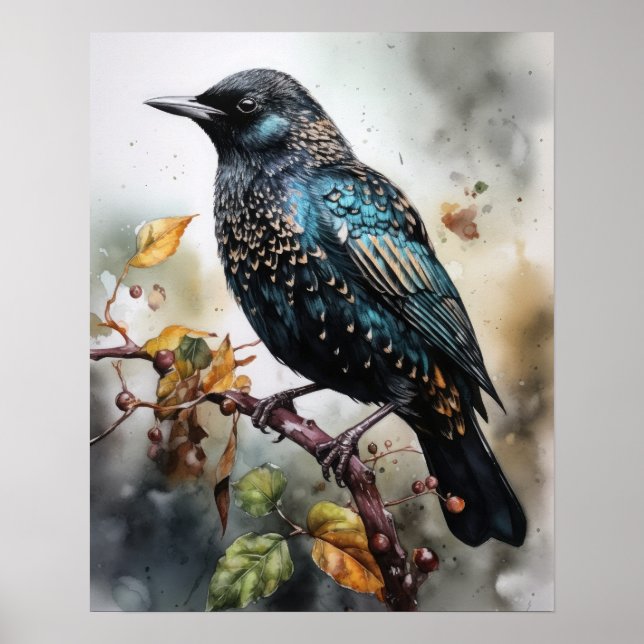 Common Starling Bird Art Print Poster (Front)