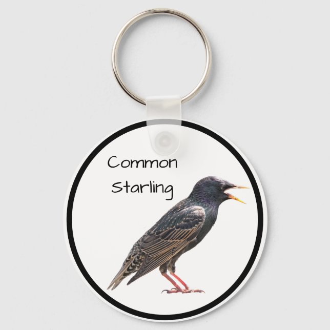 Common Starling Keychain (Front)