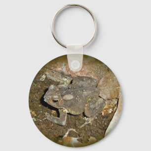 Common Toad Coordinating Items Keychain