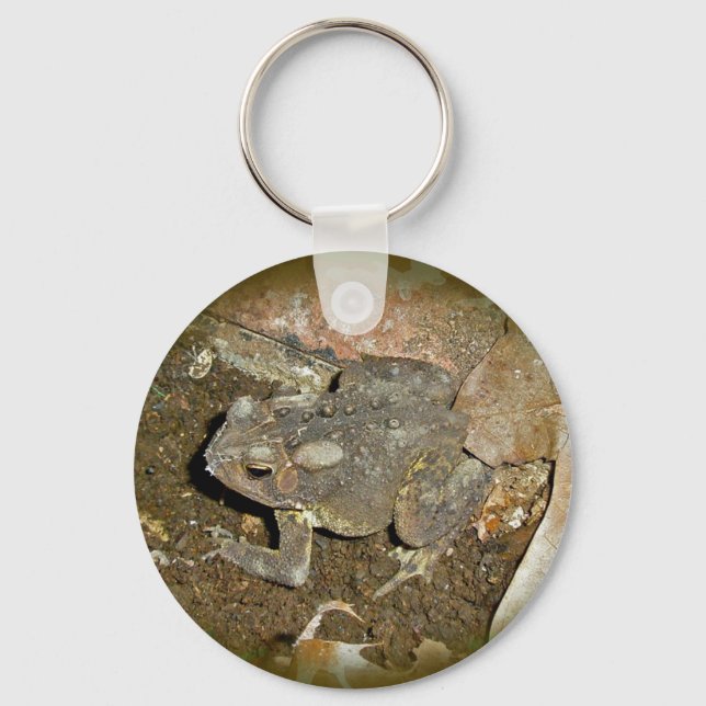 Common Toad Coordinating Items Keychain (Front)