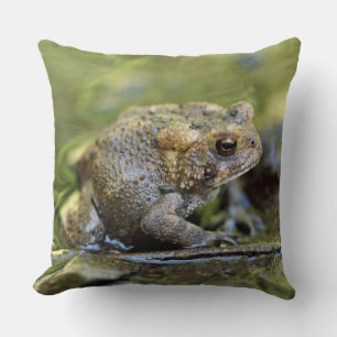 Common Toad Throw Pillow