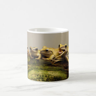 Common Tree Frog Polypedates Leucomystax Coffee Mug