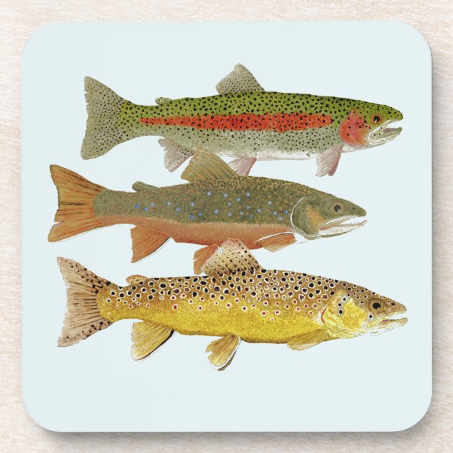 Common Trout Coasters (Front)