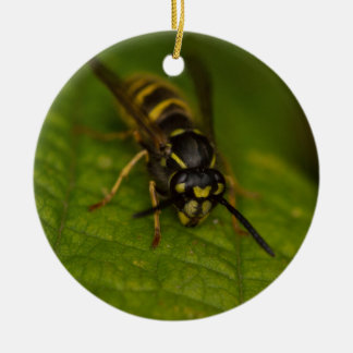 Common Wasp Ceramic Ornament