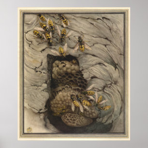 COMMON WASPS - Insect Book Illustration Poster