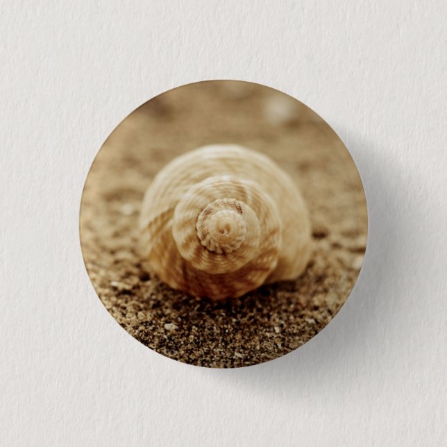 Common Whelk | Botany Bay 1 Inch Round Button (Front)
