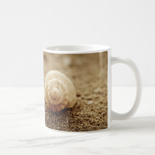 Common Whelk Botany Bay Coffee Mug