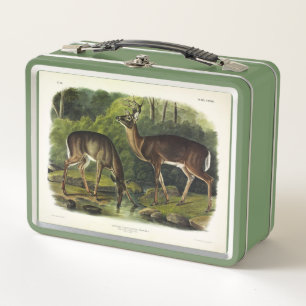 Common (White-tailed) Deer - Audubon's Quadrupeds Metal Lunch Box