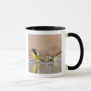 Common yellowthroat bathing mug