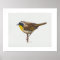 Common Yellowthroat Warbler Art Print