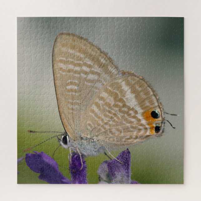 Common Zebra Blue Butterfly Jigsaw Puzzle (Vertical)