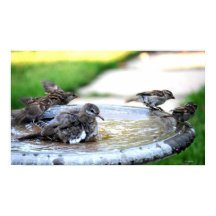 Communal Bath