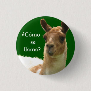 Cómo se llama? 1 inch round button