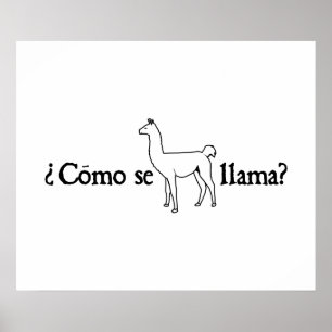 Como Se Llama? Poster