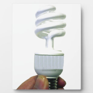 Compact Fluorescent bulb Plaque