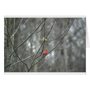 Compagnons pendant la vie