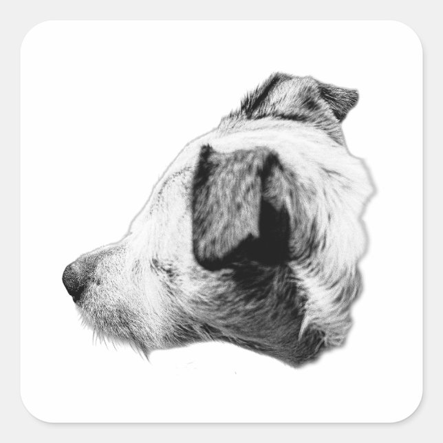 Companion in Profile Square Sticker (Front)