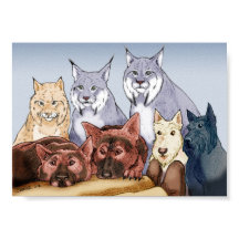 Companions - Coloured