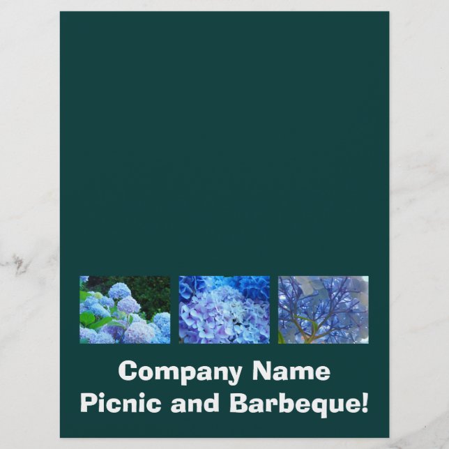 Company Picnic & Barbeque! Flyers Add Your Text (Front)