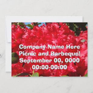 Company Picnic Corporate Barbeque Invitations