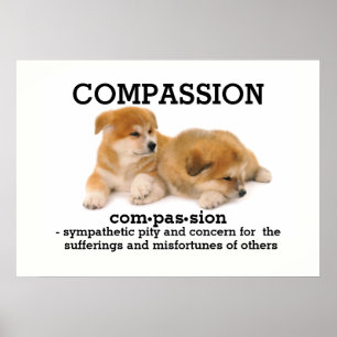 COMPASSION - Affiche de vocabulaire