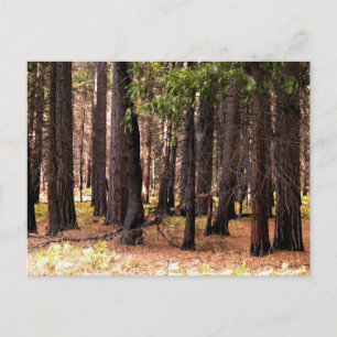 Compassion matters postcard