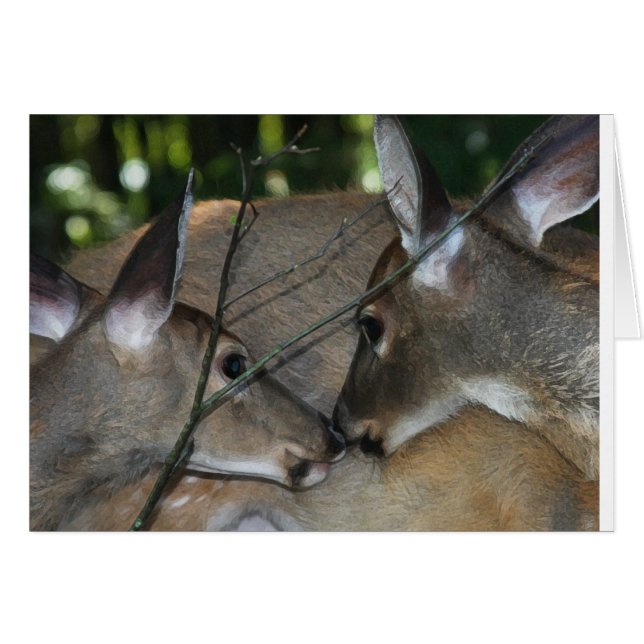 Compassion & Respect of Nature (Front Horizontal)