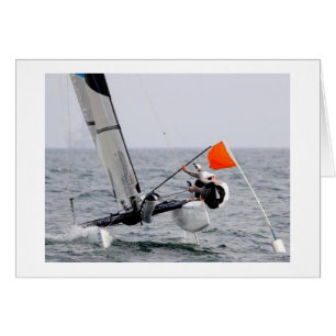 Competition Sailing Catamaran Picture