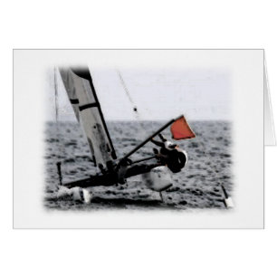 Competition Sailing Catamaran Picture