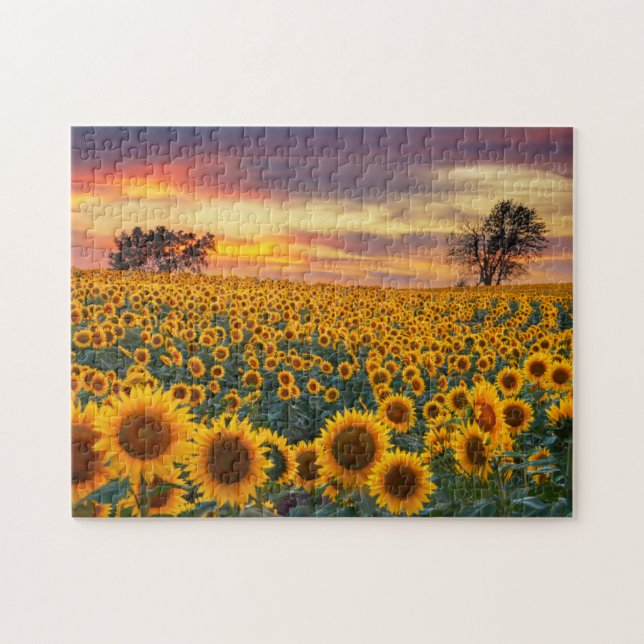 Complexe de tournesol photographique Jigsaw Puzzle (Horizontal)