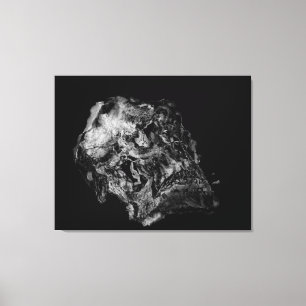 Complexity / Surreal Skull Canvas Print