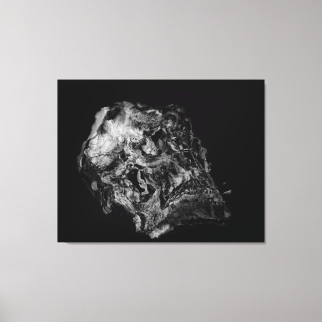 Complexity / Surreal Skull Canvas Print (Front)