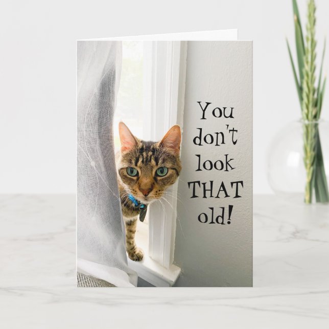Compliment d'anniversaire amusant Carte de chat (Devant)
