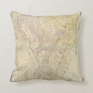 Composite Staten Island Throw Pillow