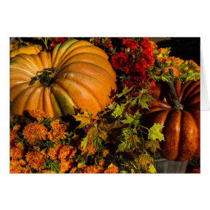 Composition de citrouille et de chrysanthème