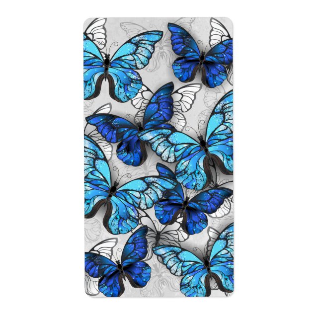 Composition des White and Blue Butterflies (Devant)