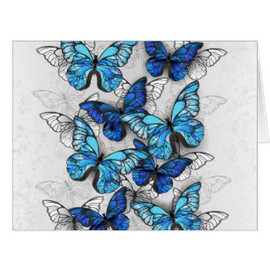 Composition des White and Blue Butterflies