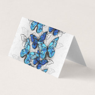 Composition des White and Blue Butterflies