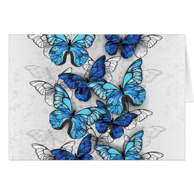 Composition des White and Blue Butterflies (Devant horizontal)