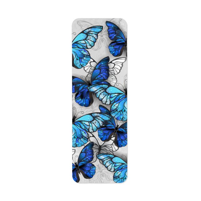Composition des White and Blue Butterflies (Devant)