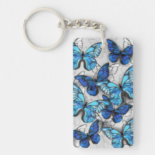 Composition des White and Blue Butterflies