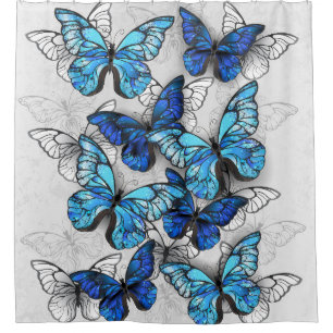 Composition of White and Blue Butterflies