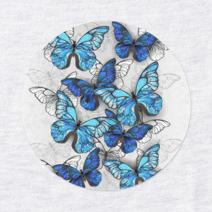 Composition of White and Blue Butterflies